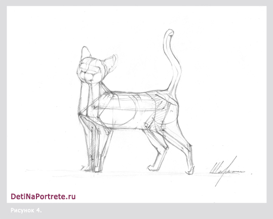 схема +как нарисовать кошку