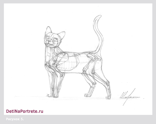 +как рисовать кошек карандашом