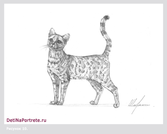 красивые рисунки кошек